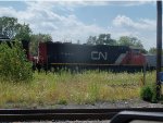 CN 5611